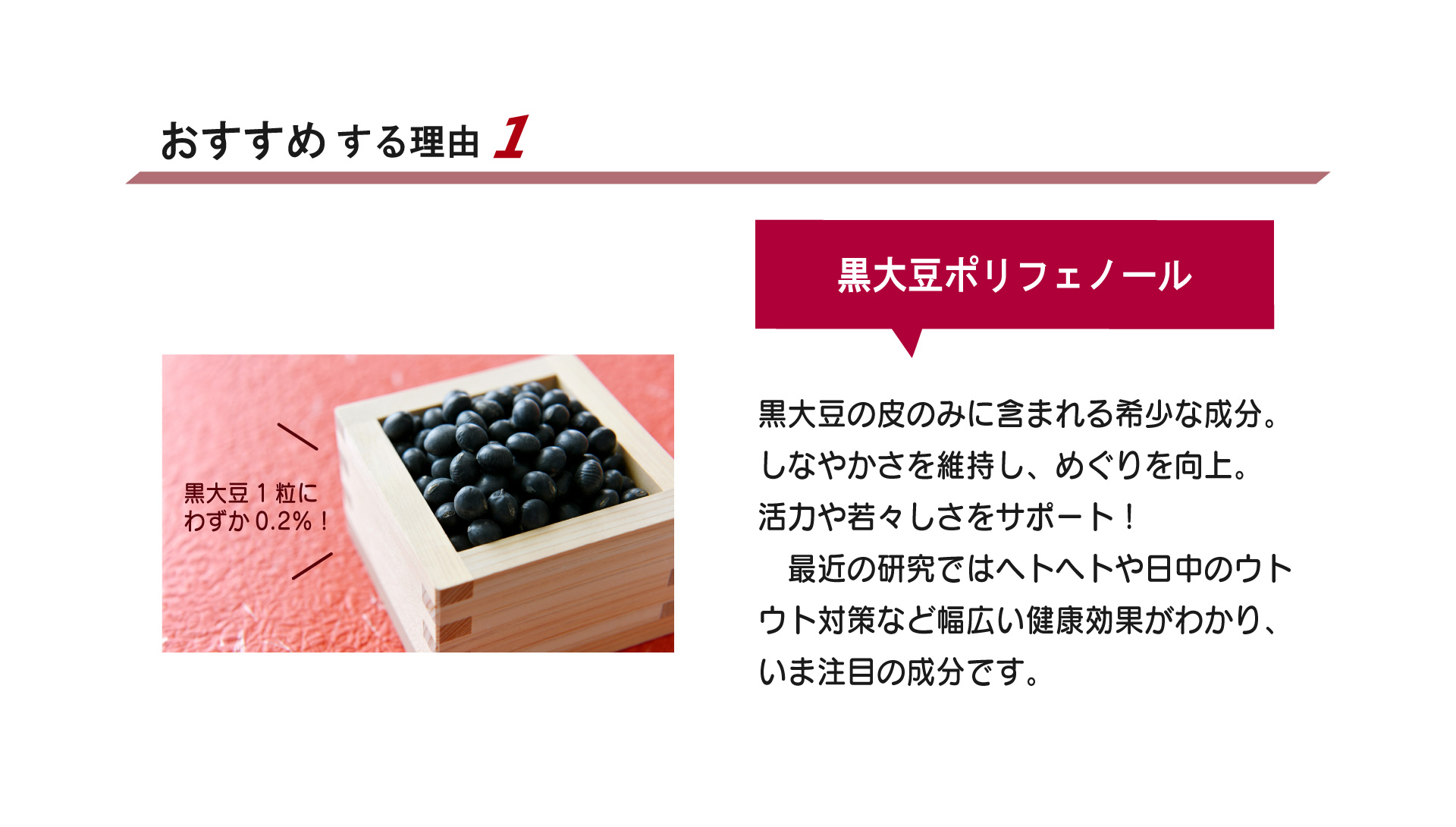 アクティブチャージおすすめ1