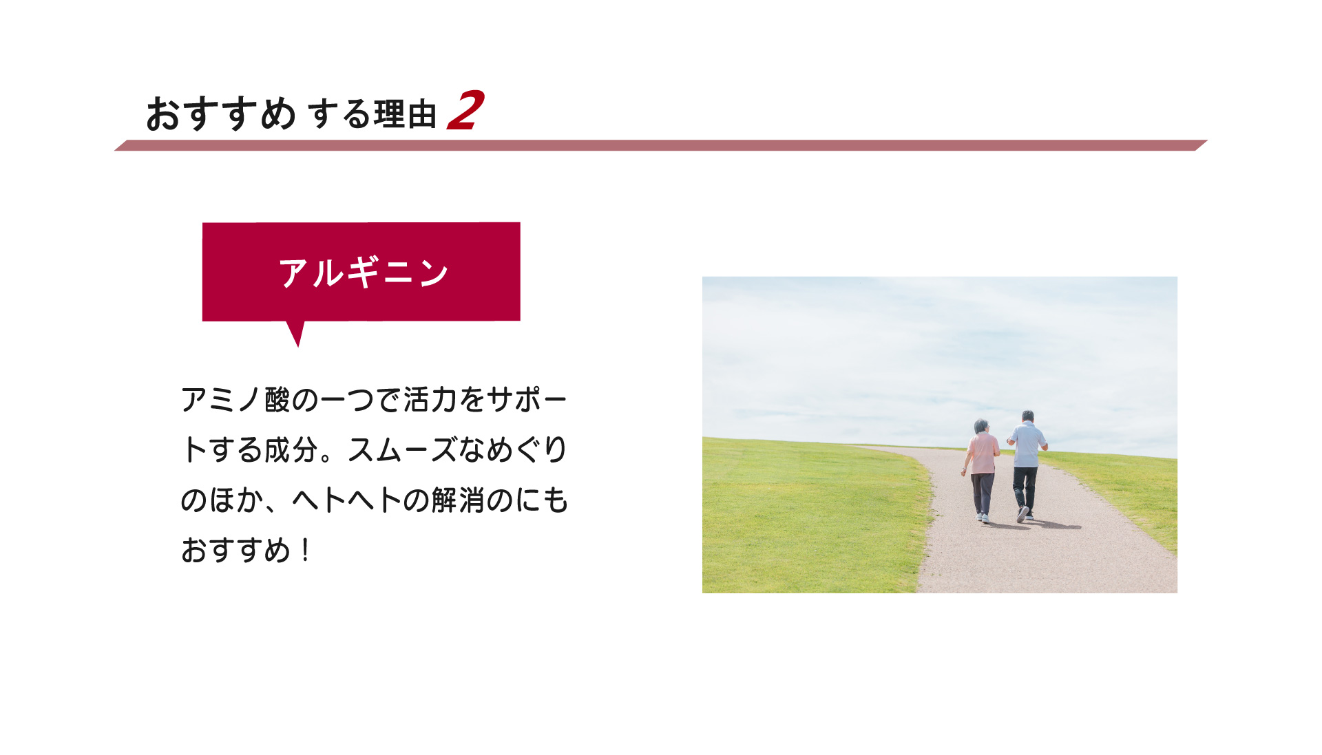 アクティブおすすめ2