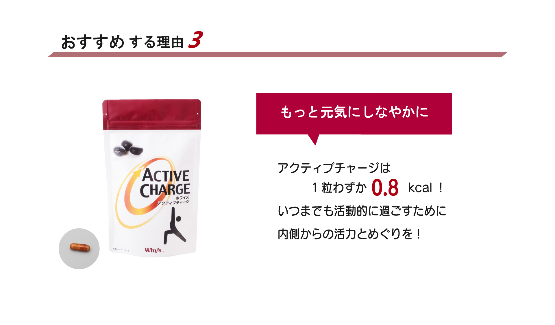 アクティブおすすめ3