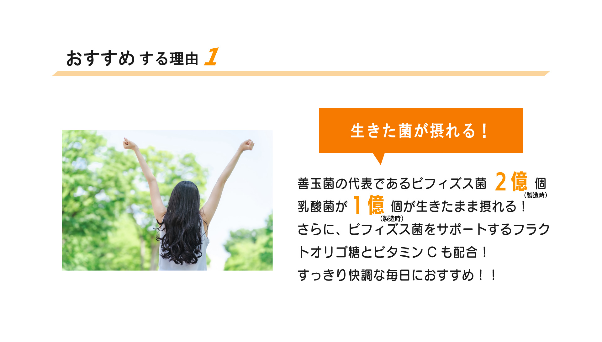 ビフィズスおすすめ1