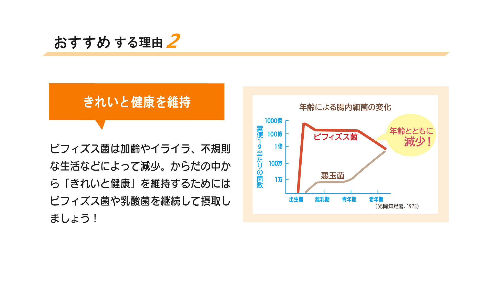 ビフィズスおすすめ2