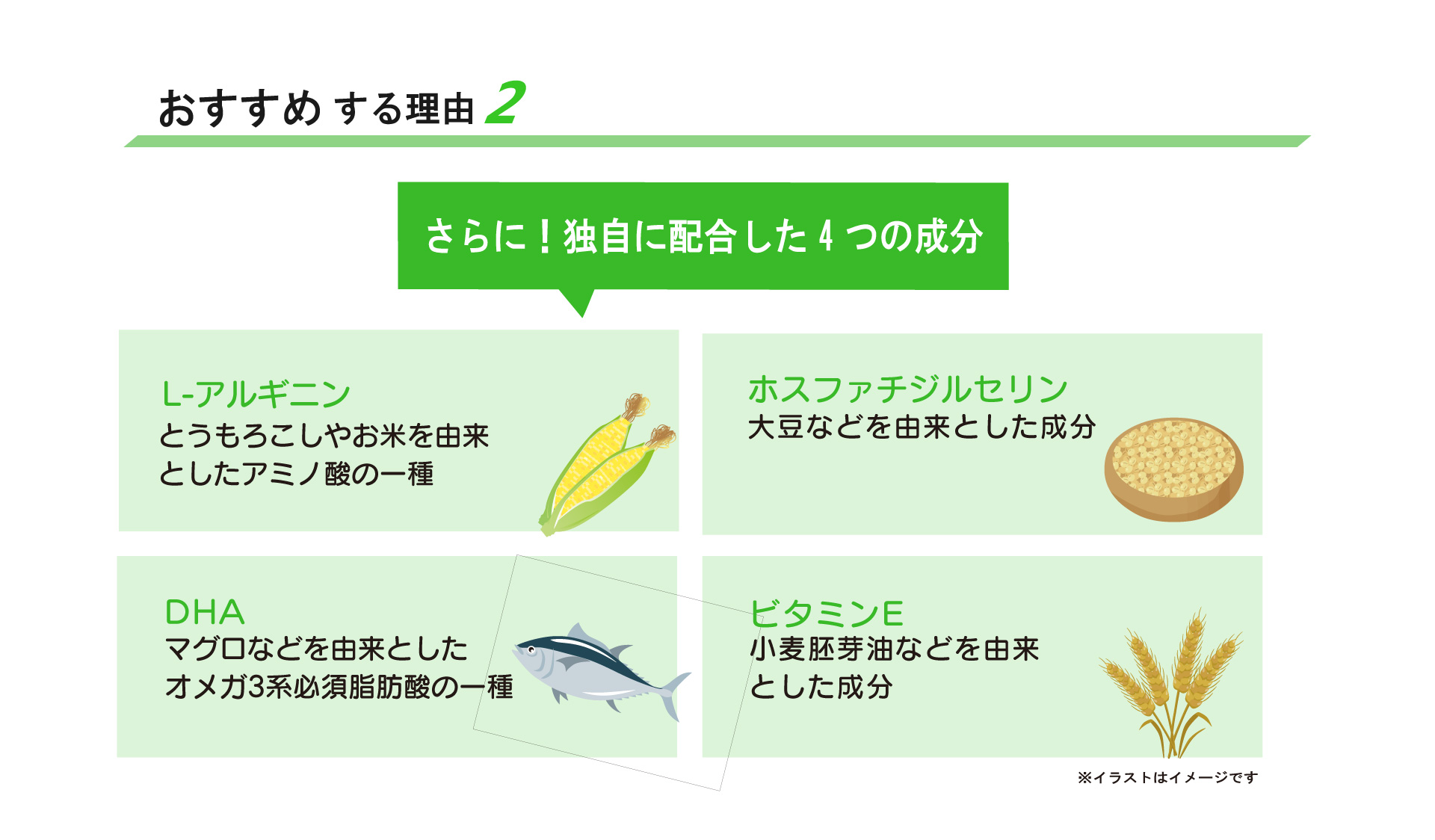 ブレインメモリーおすすめ2