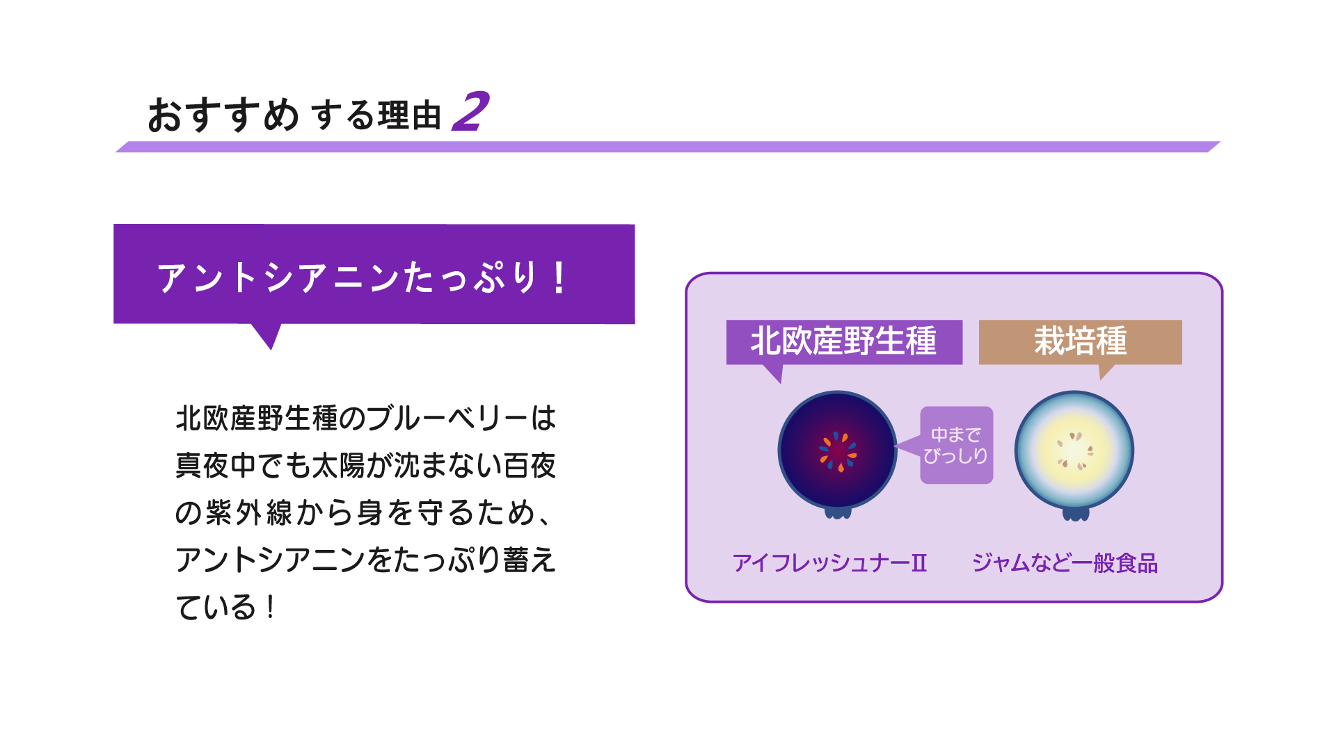 アイフレッシュナーおすすめ2