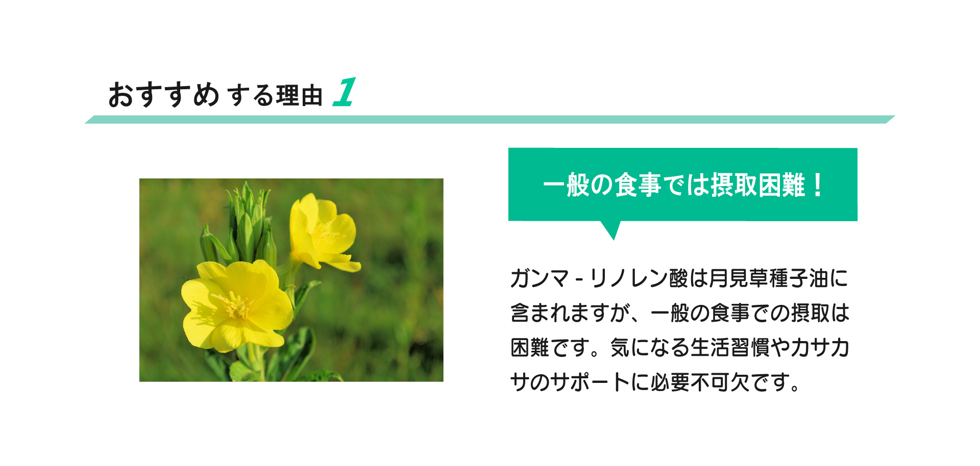 ホワイズムーンドロップアルファプラスおすすめ1