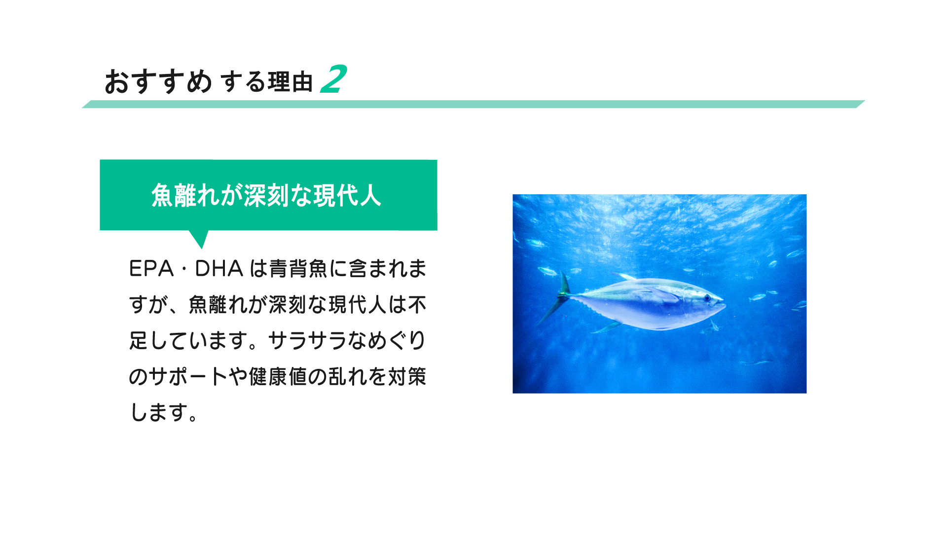 ホホワイズムーンドロップアルファプラスおすすめ2