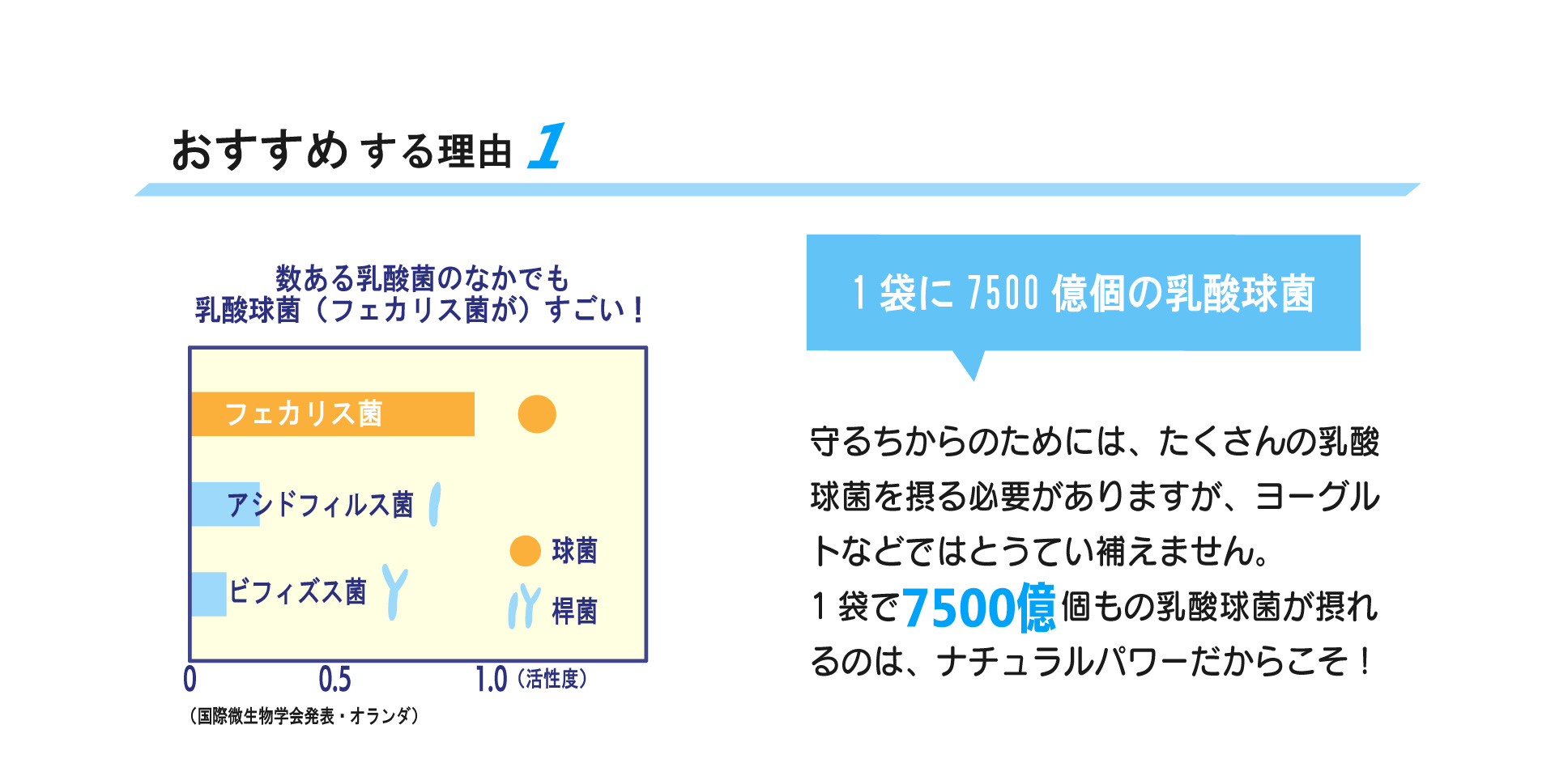 ホワイズナチュラルパワーおすすめ1