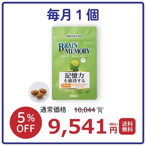 【毎月】ブレインメモリー