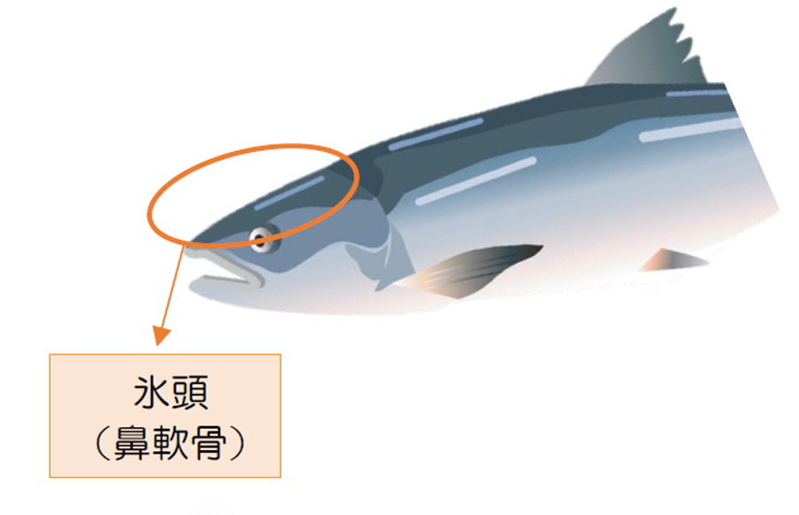 サケ鼻軟骨由来プロテオグリカンイメージ