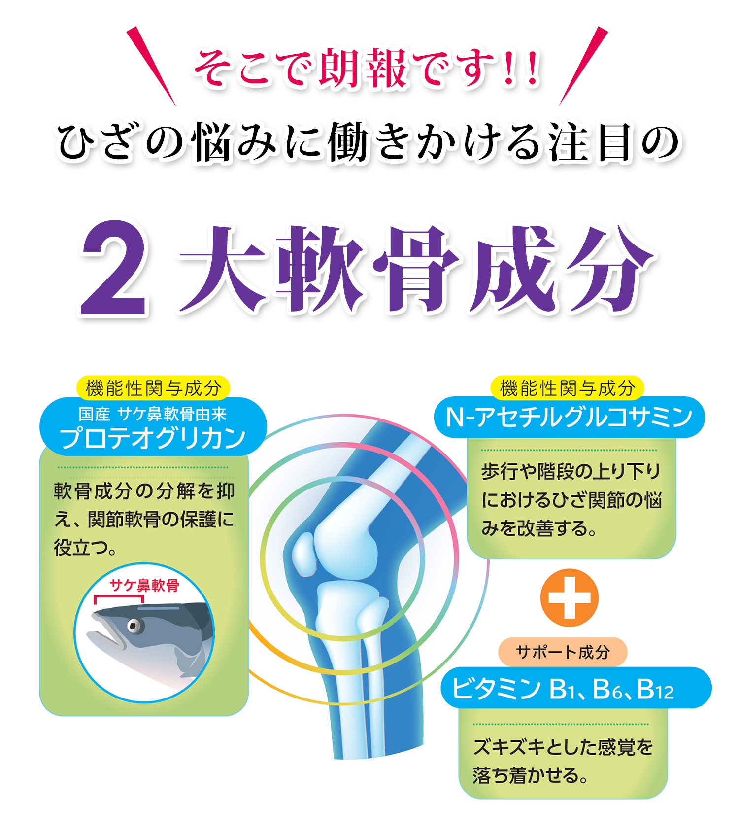 ひざの2大軟骨成分